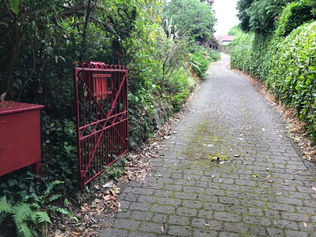 Hartree Guest House Newton Abbot Ngoại thất bức ảnh